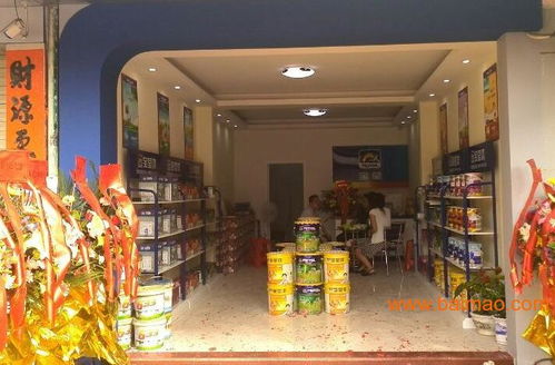 探索中國油漆市場 十大品牌盤點(diǎn)、代理機(jī)遇分析與寶瑩漆深度解析