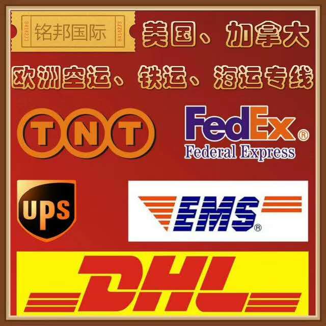 深圳國際貨運(yùn)代理行業(yè)深度解析 企業(yè)名錄與軟件服務(wù)賦能物流升級