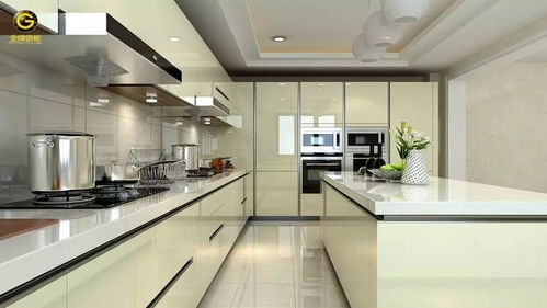 廚房的專業設計 更高要求驅動更專業方案